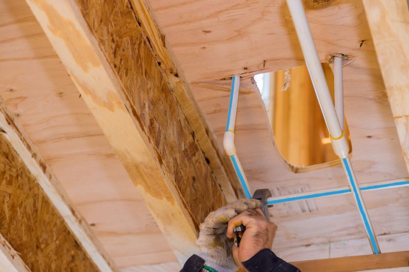 Eco-Friendly Options